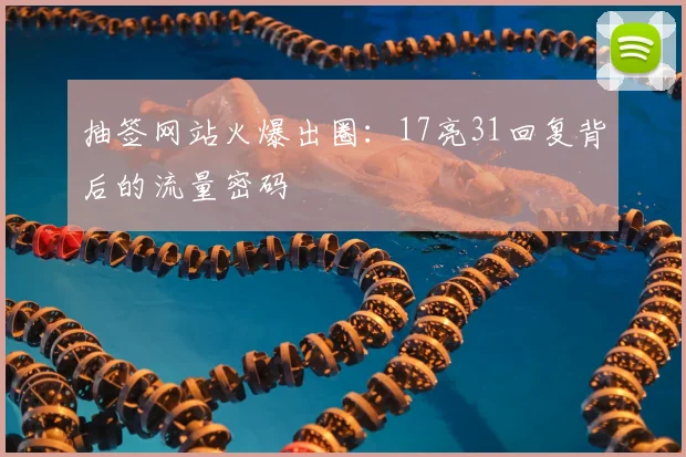 抽签网站火爆出圈:17亮31回复背后的流量密码