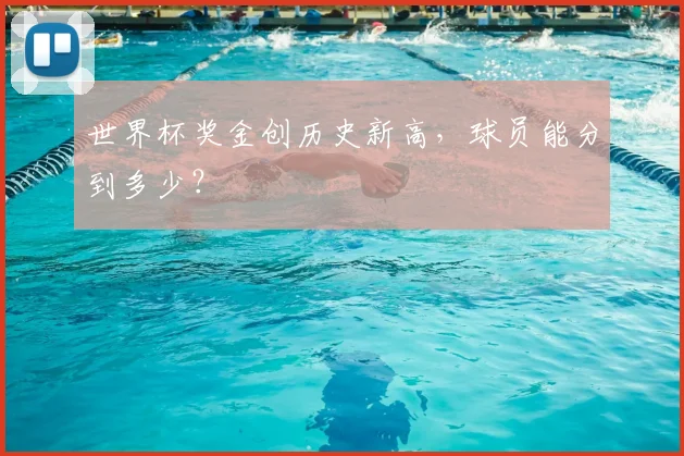世界杯奖金创历史新高,球员能分到多少?